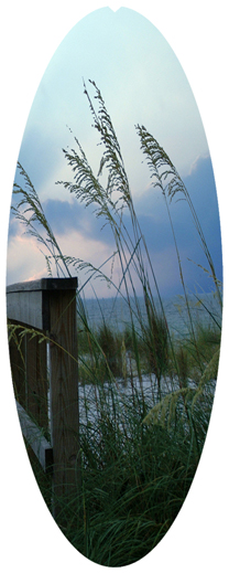 DNSA18-125 Crossing Over (Boardwalk)